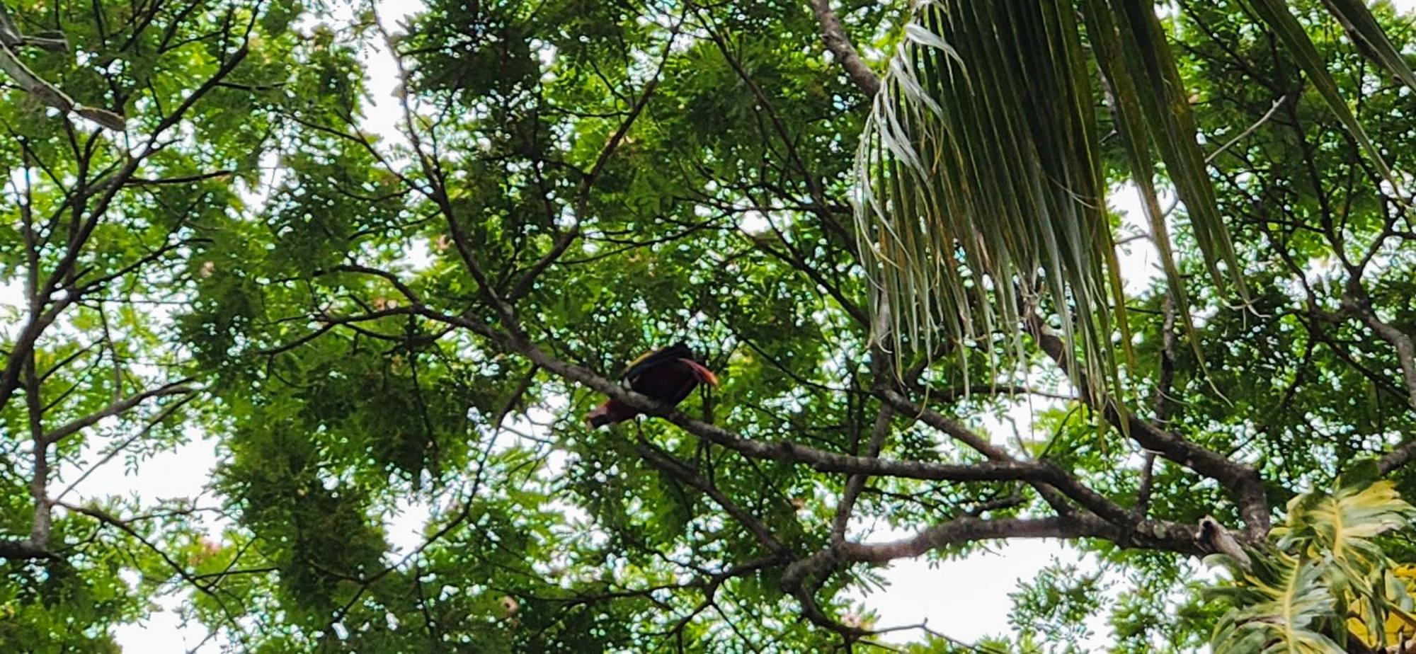 Macaw Paradise Хако Екстер'єр фото