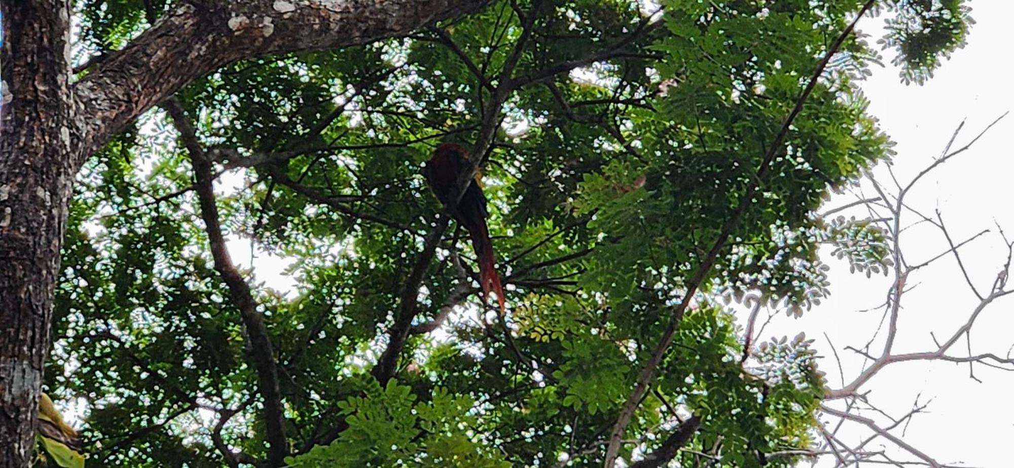 Macaw Paradise Хако Екстер'єр фото